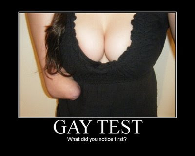 a day with a gay from Justin gay test joke